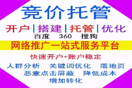 某企业SEM推广策略的调整与效果提升